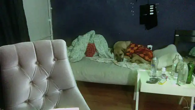 turkishTransEfsun live sex cam