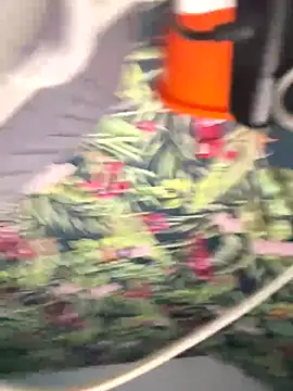 Big-Tits696969's cam snapshot