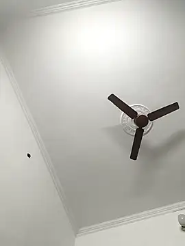 paro22_sex's cam snapshot