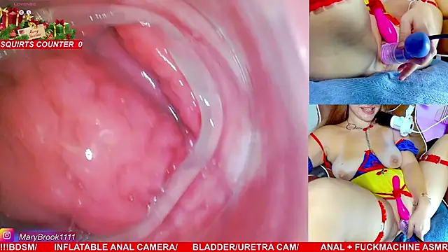 MaryBrook1 live sex cam