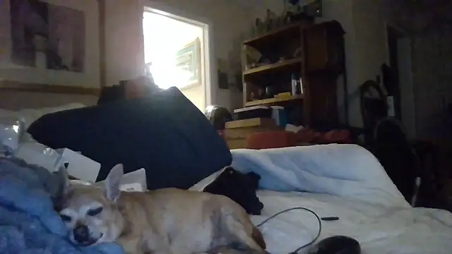 den-rock4u live sex cam