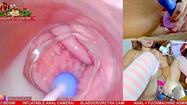 MaryBrook1 live sex cam