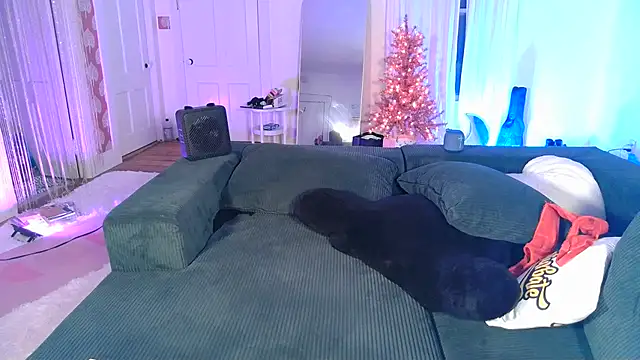 ashleyblaydex's cam snapshot