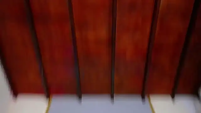 Dante_Ferrara2025's cam snapshot