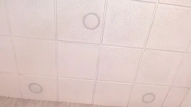 Xaander_'s cam snapshot