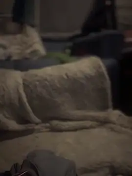 monk5115's cam snapshot