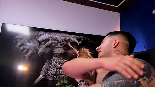 king_falconer's cam snapshot