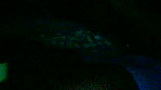 3ROTIC_3XOTiC_FIR3's cam snapshot