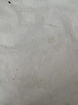 nightwolfX1 live sex cam