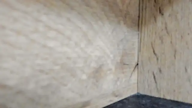 classy_medea's cam snapshot