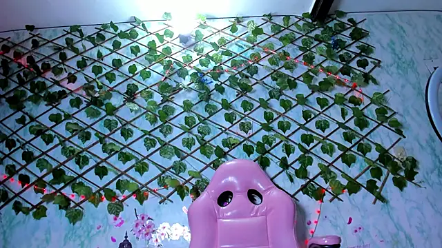 Pamesmith's cam snapshot