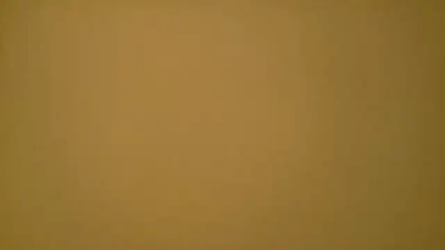 laneroad1's cam snapshot