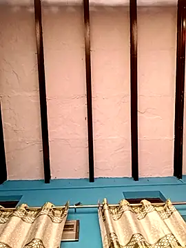 palakshar's cam snapshot