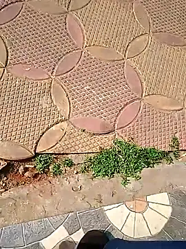 Raj41's cam snapshot