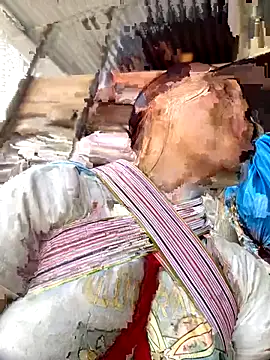 Sanmay55's cam snapshot