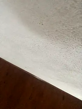 rosaditapussy's cam snapshot