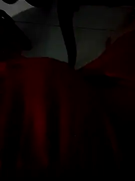 Rayangiss's cam snapshot