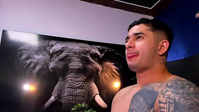 king_falconer's cam snapshot