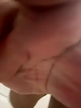 DLPAPI's cam snapshot