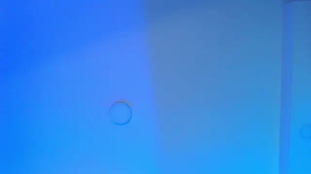 Aurora_blossom__'s web cam