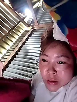 ViVicutek's cam snapshot