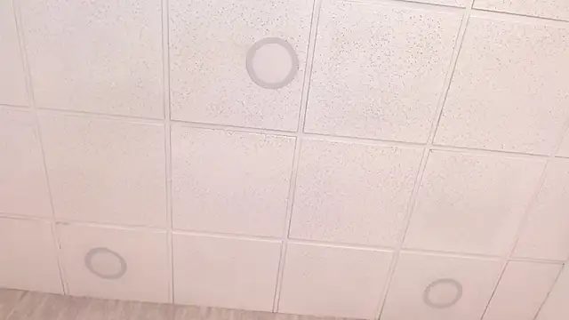 Xaander_'s cam snapshot