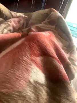 DManL's cam snapshot