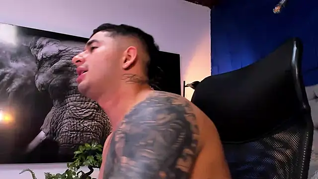 king_falconer's cam snapshot