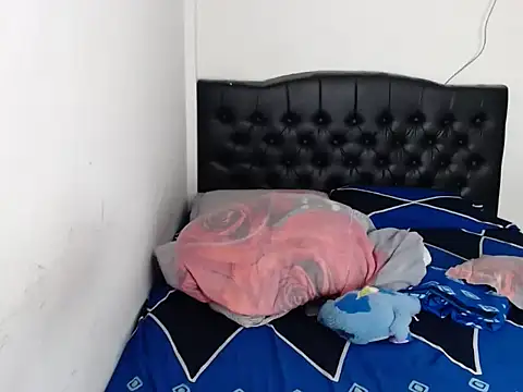 linnaskinyy's cam snapshot