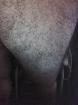 Leocesar37's cam snapshot