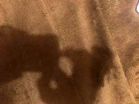 omonaka's cam snapshot