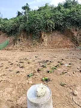 Tin_tanny's cam snapshot