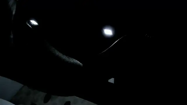 stefializon live sex cam