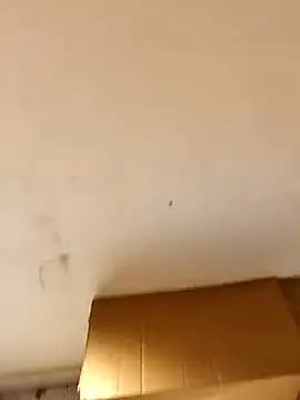 desi_alpha_boy's cam snapshot