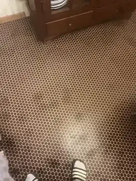 solomec's cam snapshot