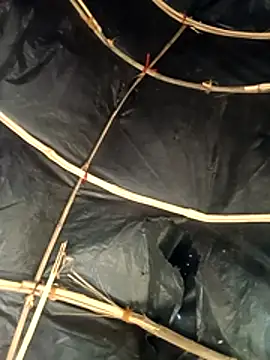 Hot-honi's cam snapshot