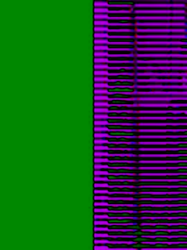 miafresa_hot live sex cam