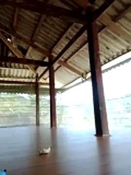 Georgia_here's cam snapshot