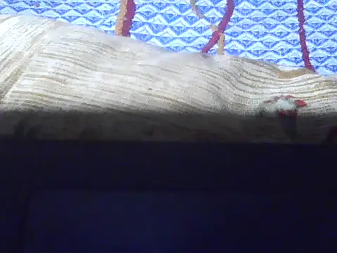 Stubborndesiboy's cam snapshot