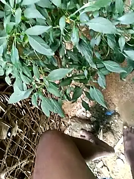 dolphiinn's cam snapshot