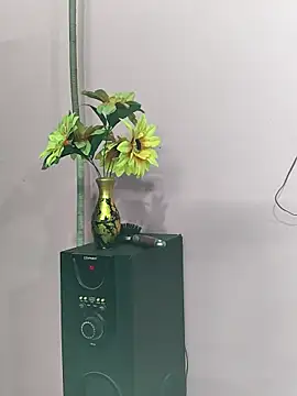 Sexy_anaamika live sex cam