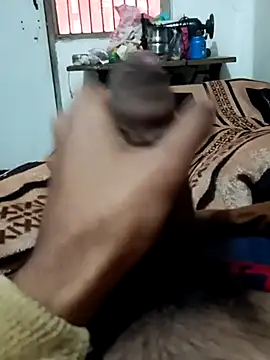 siddBus live sex cam