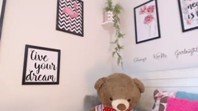 Joliet's cam snapshot