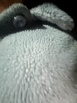 Zhan99999's cam snapshot