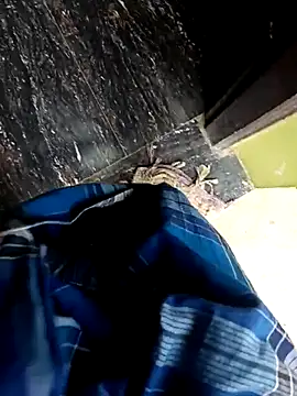 dolphiinn live sex cam