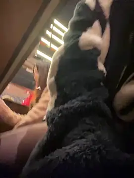 tiantiandao's cam snapshot