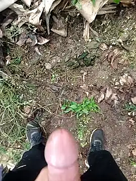 Sikici0734's cam snapshot