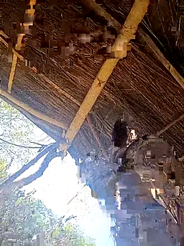 Avejkhan1630's cam snapshot