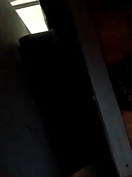 MonasticCanine's cam snapshot