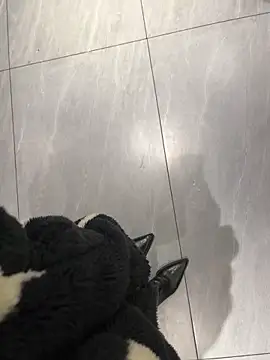 tiantiandao's cam snapshot